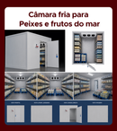 Câmara Fria JC 4x4 Congelado Piso Pain com Cond Elgin 380w/3F